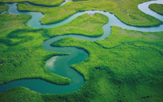 Morningstar: Taking stock of progress on climate goals