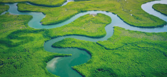 Morningstar: Taking stock of progress on climate goals