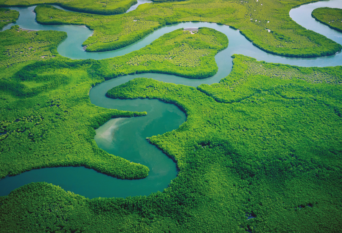Big read: Is the green bond market cleaning up its act?