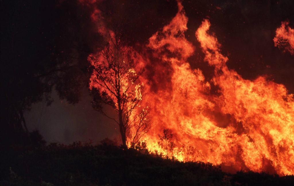 NGFS scenario head says 2.4C climate pathway ‘most probable'
