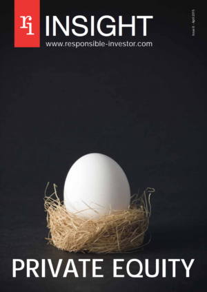 ri-insight-private-equity-2015.png