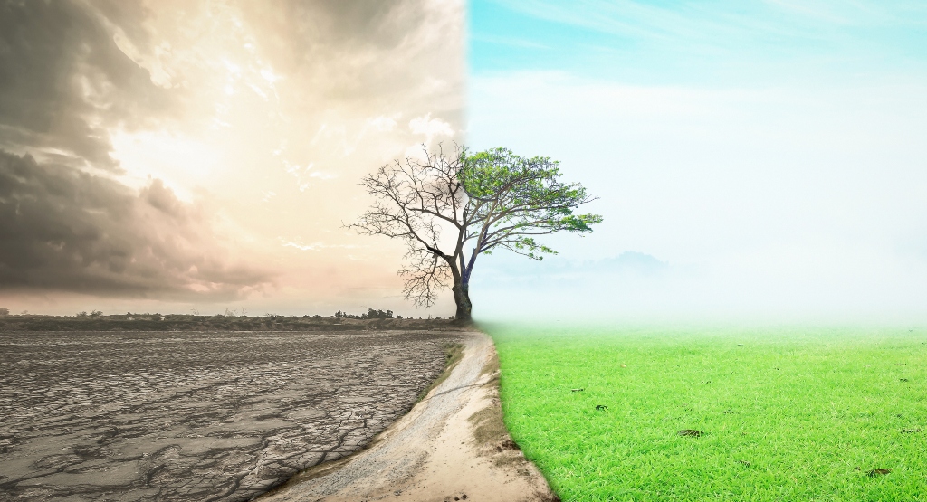 Robeco to roll out climate resilience scores to drive allocation decisions
