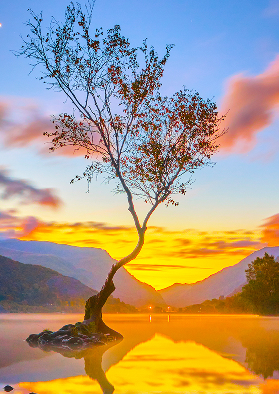 Outlook 2024 Why prospects for a more sustainable economy remain