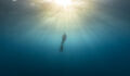 freediving
