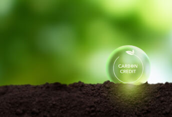 Carbon credit