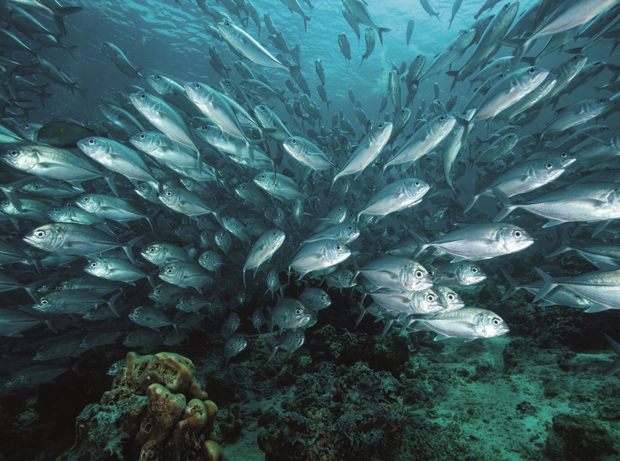 UBS GWM drops engagement from blue economy fund strategy