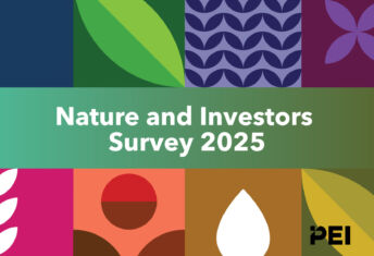 Responsible Investor Nature and Investors Survey 2025 cover
