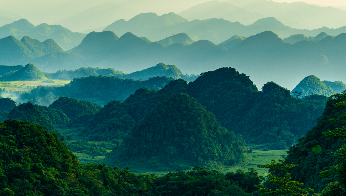 Location, location, location: Investors welcome ISSB nature framework