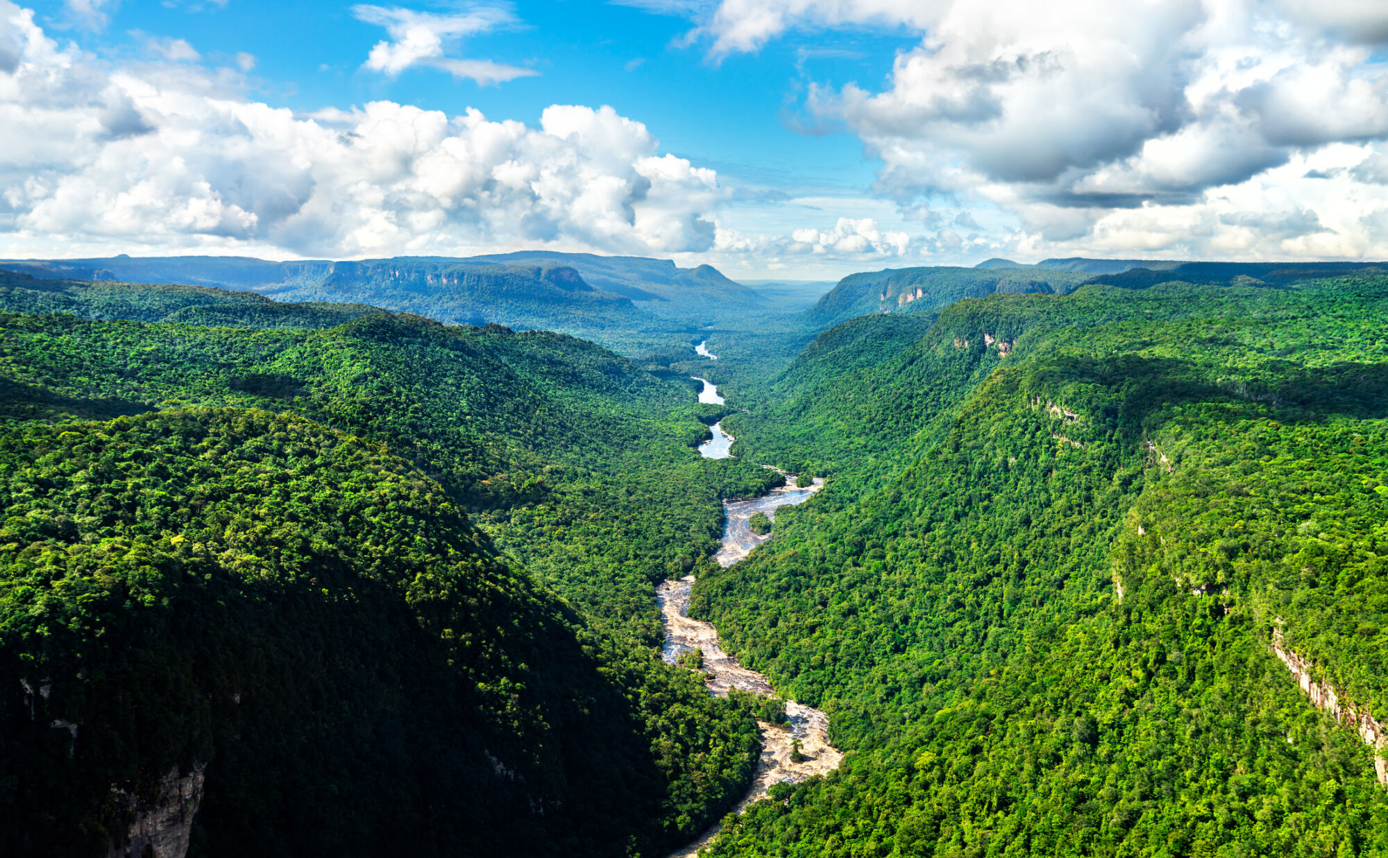 Investors launch working group to create nature transition framework
