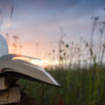 Bees, bears and AI biographies: The RI summer reading list (part 2)