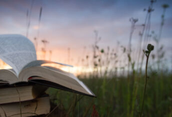 Bees, bears and AI biographies: The RI summer reading list (part 2)