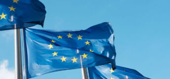 Row of blue EU flags in Brussels. The blue flags have twelve yellow stars depicting the original number of member states.