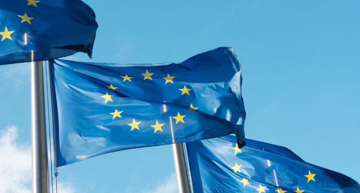 EU Omnibus: Parliament axes climate transition plan requirements in seismic vote Row of blue EU flags in Brussels. The blue flags have twelve yellow stars depicting the original number of member states.