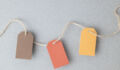 FCA publishes additional advice on SDR labelling for asset managers Autumn color palette, blank gift tags with jute twine string on a gray textured surface with copy space.