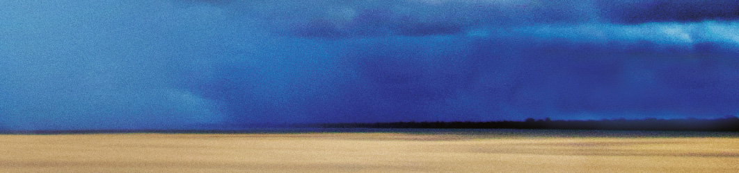 1062x250_banner image COP30 cover image