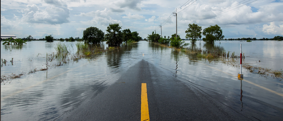 Adaptation round-up: European Commission releases consultation responses