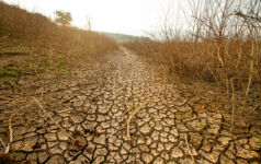 Fidelity, BNP, Amundi join physical climate risk measurement initiative