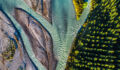 Fiduciary expectation is the top driver for assessment An aerial photo of a forest and rivers running alongside