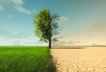 Adaptation vs mitigation: How are investors balancing competing climate priorities? Climate change from drought to green growth