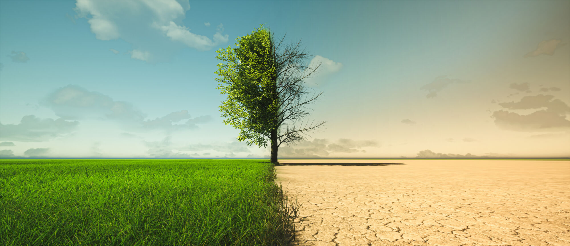 Big read: The drive to pin down portfolio indicators for climate resilience