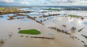 In the Loop: Droughts and downpours, name iterations and TNFD survey