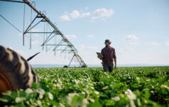 Big read: How can investors make the food system more climate resilient?