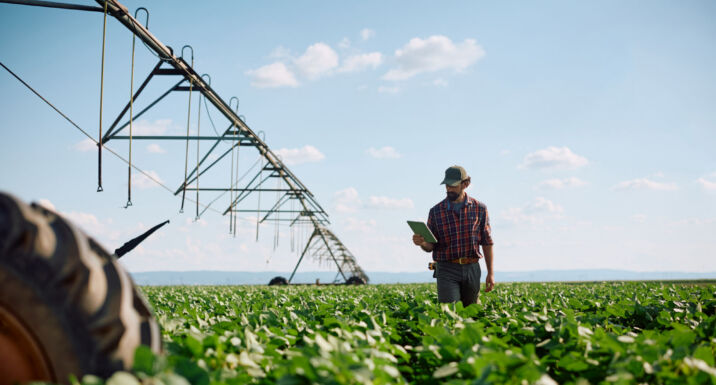 Big read: How can investors make the food system more climate resilient?