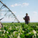 Big read: How can investors make the food system more climate resilient?